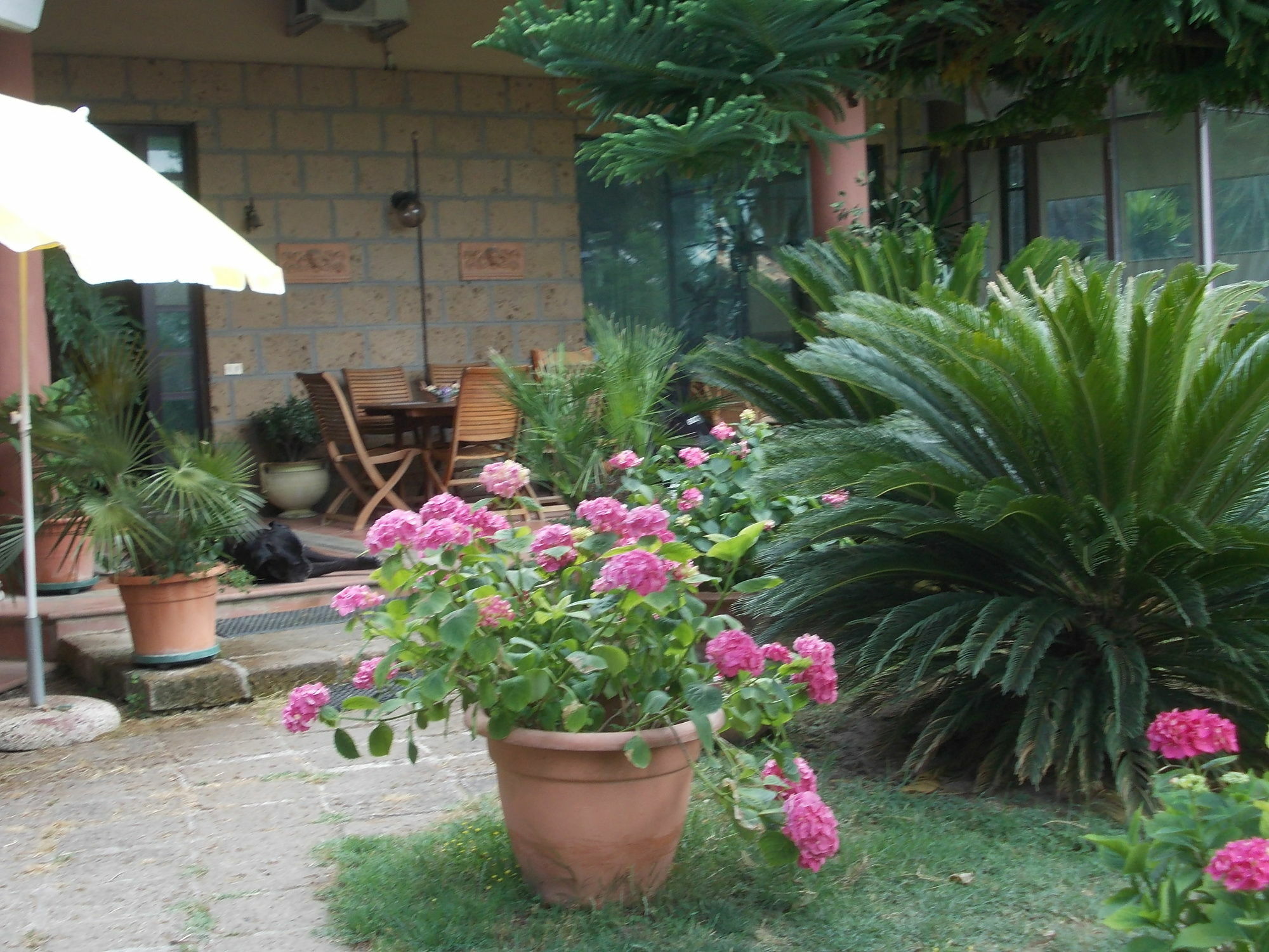 Bellavista Country House Pescara Extérieur photo